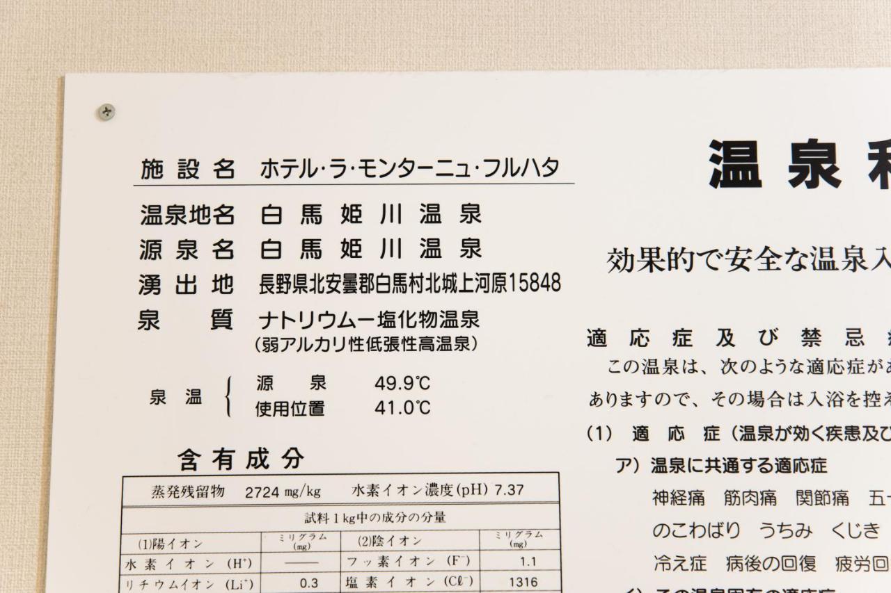 Hotel La Montagne Furuhata Hakuba Bagian luar foto