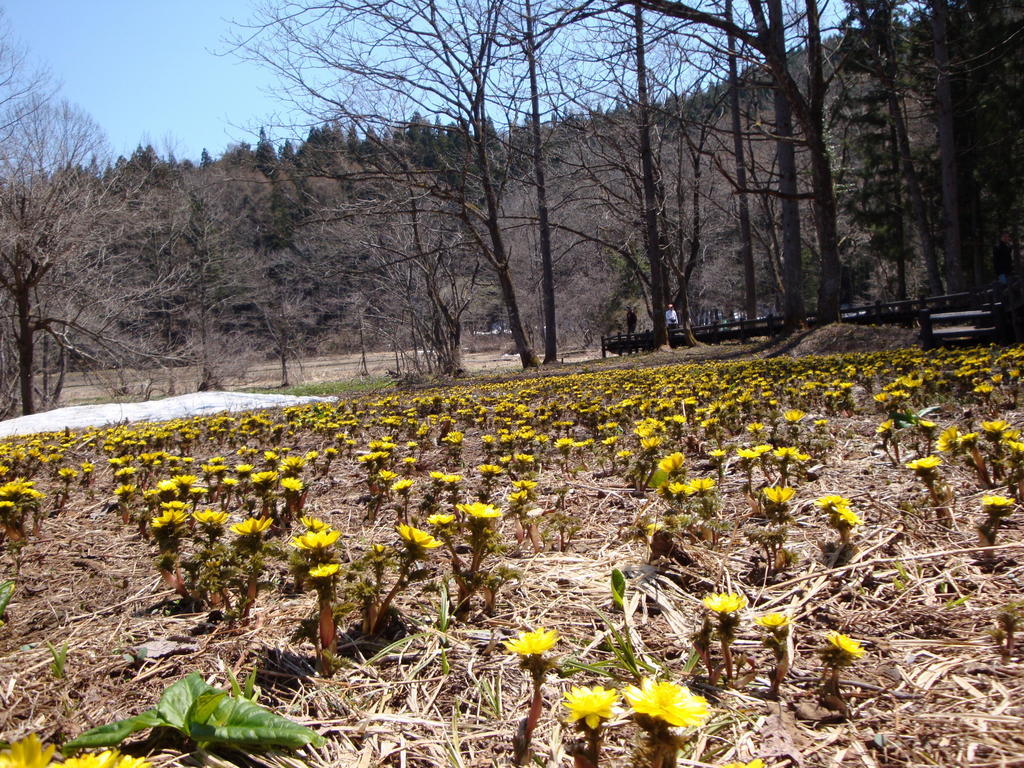 Hotel La Montagne Furuhata Hakuba Bagian luar foto